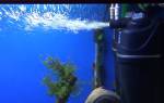 Очистка воды в аквариуме (аквариумные фильтры)