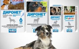 Диронет – комбинированное противоглистное лекарство для собак