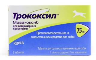 Трококсил для собак: полное описание препарата