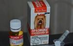 Суспензия от глистов для собак: полный список препаратов, описание и дозировка