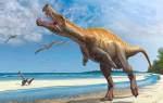 Удивительные факты о динозаврах — 24СМИ