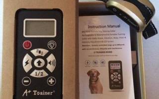 Вся правда об электронном ошейнике для дрессировки собак