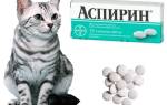 Можно ли использовать аспирин для кошек? Основные сведения о препарате