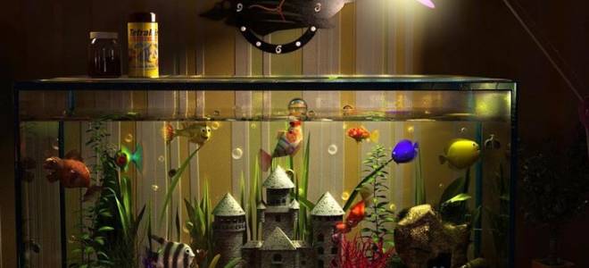 Свет в аквариуме сколько должен гореть
