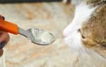 Энтеросгель как давать кошке лекарство