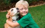 Собака и ребенок в доме: что нужно знать?