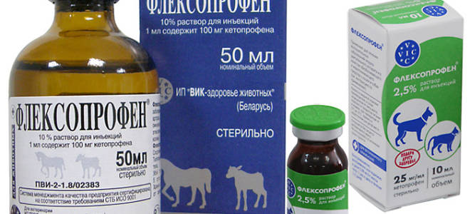 Как колоть Флексопрофен для кошек