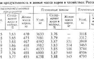 Племенные хозяйства КРС полезный опыт