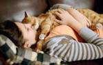 Почему кошки любят спать с хозяином