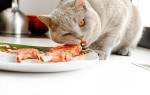 Натуральная еда для кошек