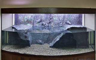 Обустройство аквариума для красноухой черепахи