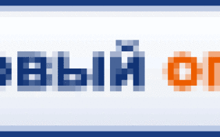 Как вырастить крупного кота